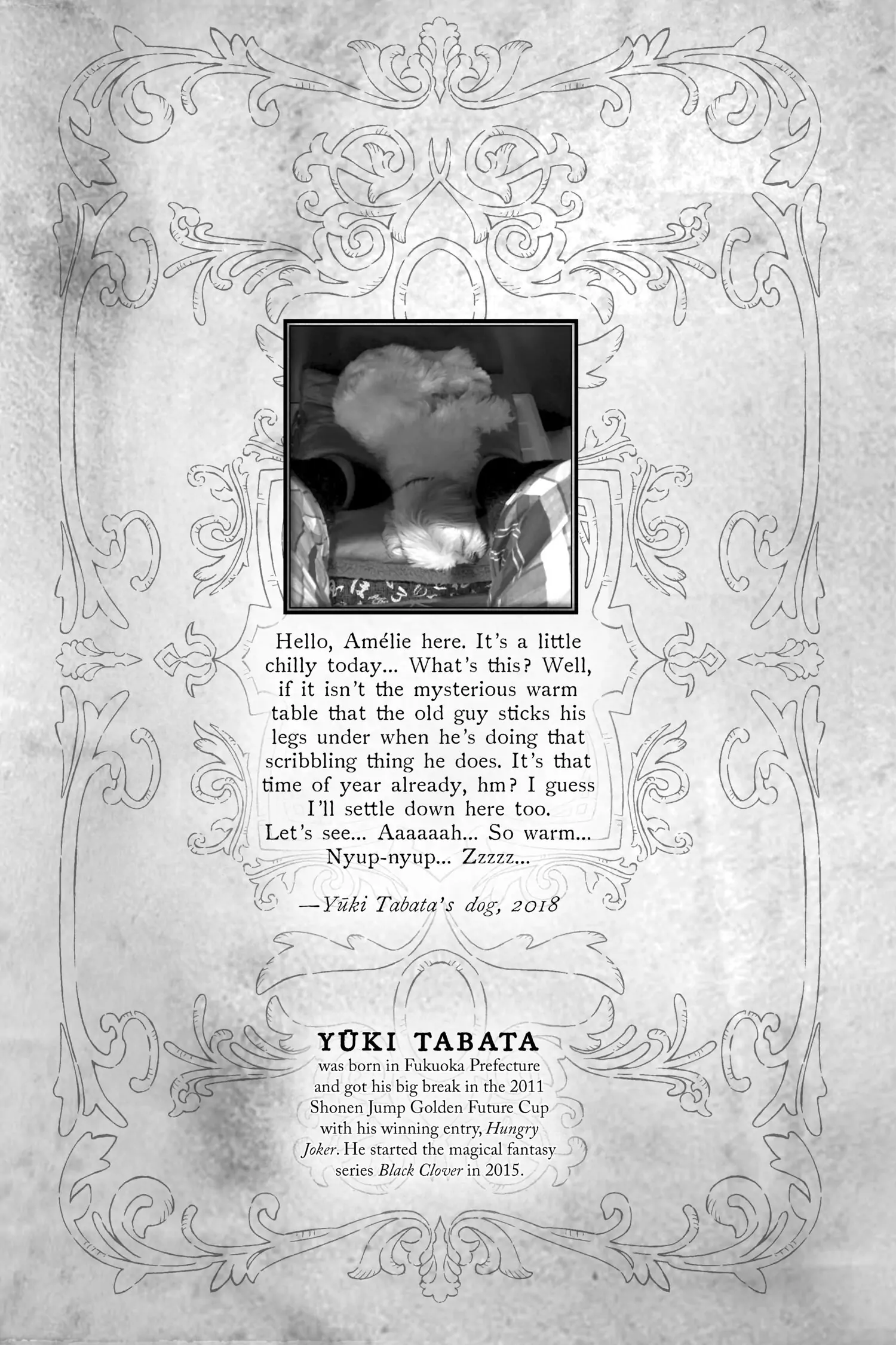 6582423 1500 2250 249286