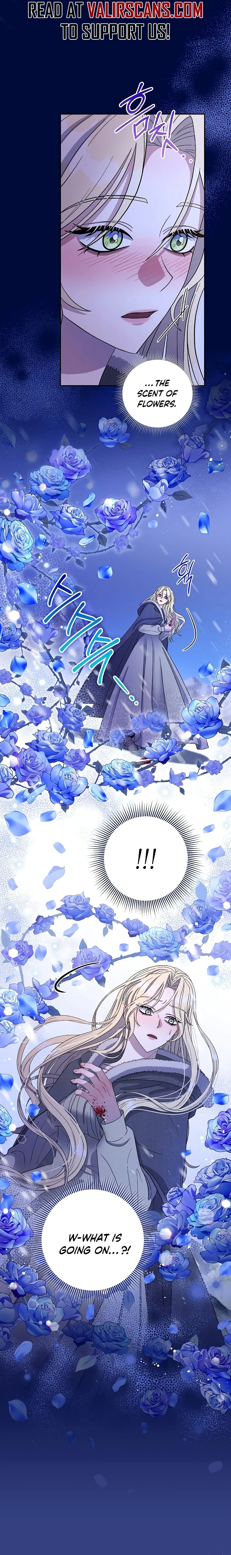 74889352 800 5385 902956